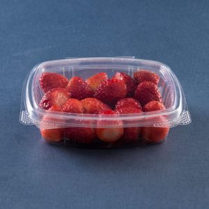 ENVASE MULTIUSO 240 ml GA95
